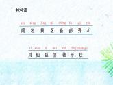 统编版（2024）二年级语文上册9黄山奇石课件4