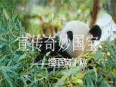 【核心素养-任务型】统编版语文三下《习作：国宝大熊猫》课件+教案+音视频素材+课文朗读