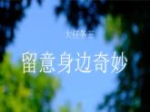 【核心素养-任务型】统编版语文三下《口语交际：劝告》课件+教案+音视频素材+课文朗读