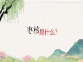 【核心素養(yǎng)-任務(wù)型】28《棗核》課件+教案+音視頻素材+課文朗讀