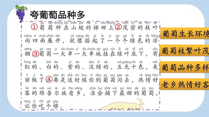 统编版（2024）二年级语文上册11葡萄沟第2课时课件2第2页