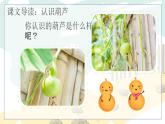 统编版（2024）二年级语文上册14我要的是葫芦课件2