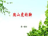 《爬山虎的脚》教学课件（第一课时）
