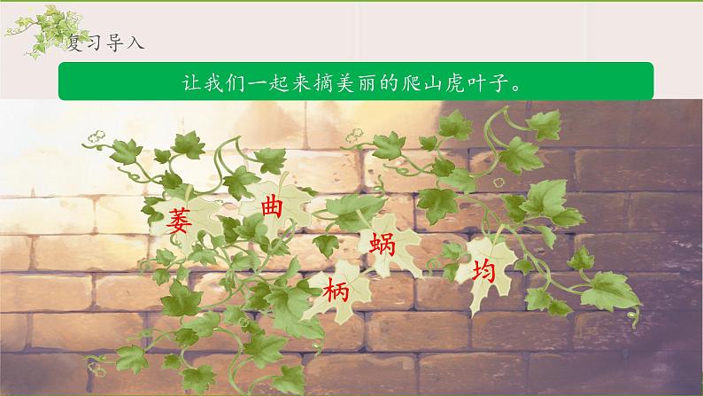 《爬山虎的脚》名师课件（第二课时）第2页