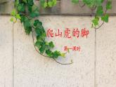 《爬山虎的脚》名师课件（第一课时）