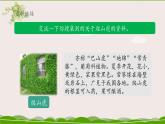 《爬山虎的脚》名师课件（第一课时）