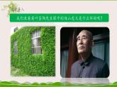 《爬山虎的脚》名师课件（第一课时）