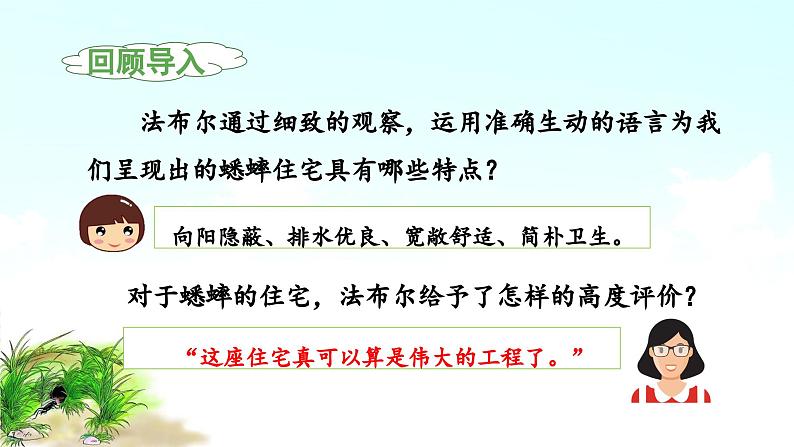 《蟋蟀的住宅》教学课件（第二课时）第3页