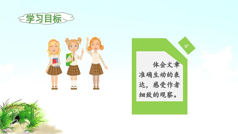 《蟋蟀的住宅》教学课件（第一课时）第4页