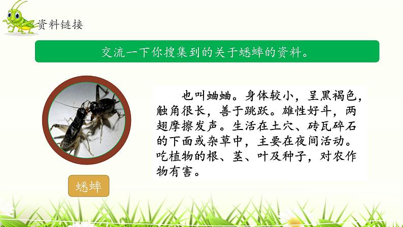 《蟋蟀的住宅》名师课件（第一课时）第3页