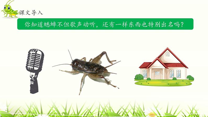 《蟋蟀的住宅》名师课件（第一课时）第4页