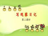 《习作：写观察日记》教学课件（第二课时）