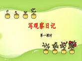 《习作：写观察日记》教学课件（第一课时）