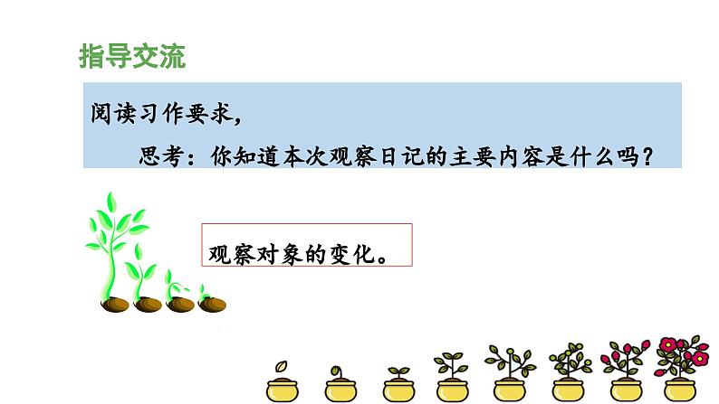 《习作：写观察日记》教学课件（第一课时）第7页