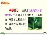 《习作：写观察日记》精品课件