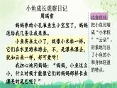 《习作：写观察日记》优质课件（第二课时）
