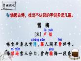 四上《古诗三首》精品课件（第三课时雪梅）1