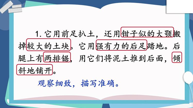 四上《语文园地三》优质课件第3页