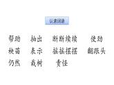 统编版（2024）二年级语文上册24风娃娃课件