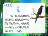 9《烏鴉喝水》課件PPT+教案+音視頻素材