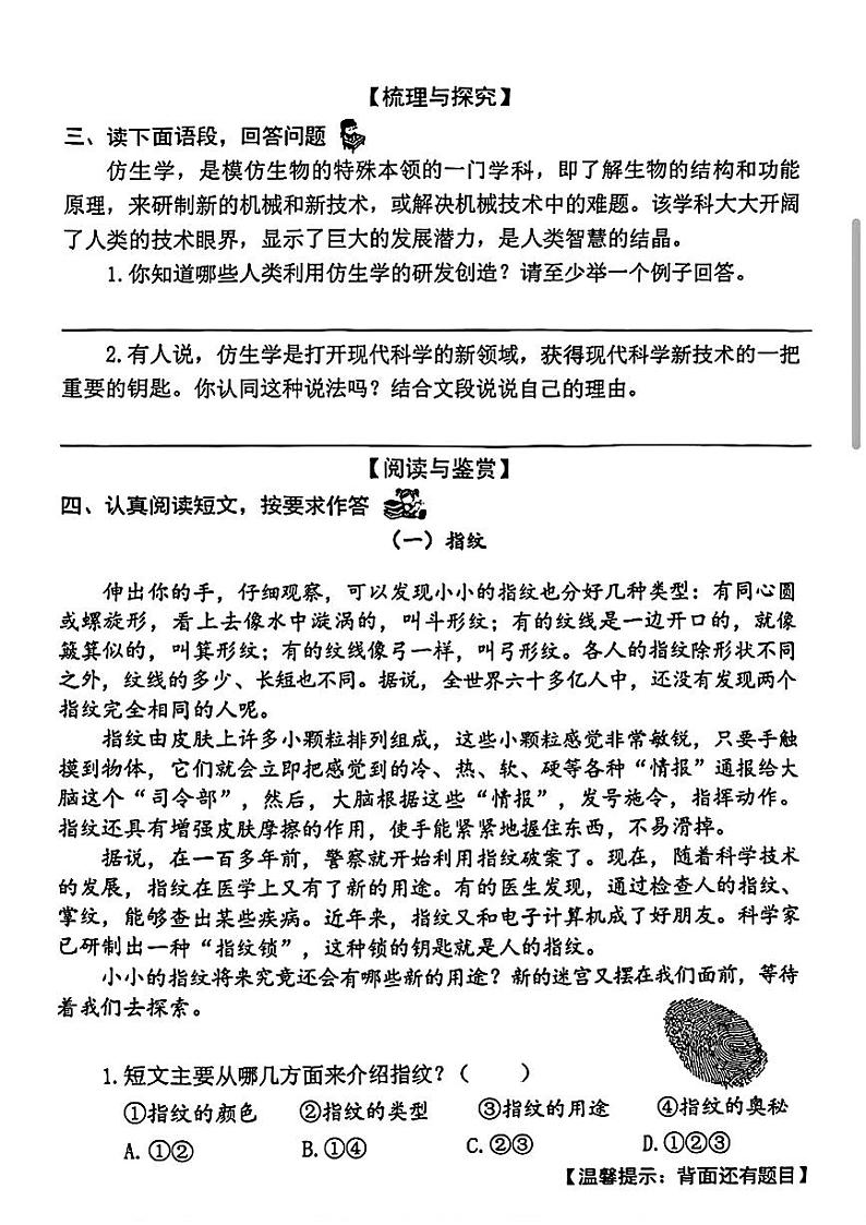 福建省泉州市2024-2025学年四年级上学期第二次月考测试语文试题03