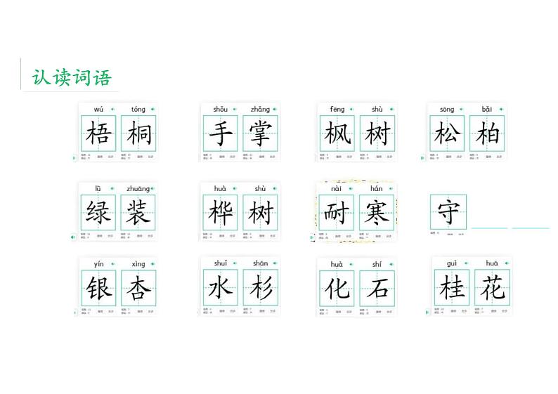 树之歌课件统编版语文二年级上册第5页