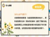 6 影子 课件- 2024-2025学年语文一年级上册统编版
