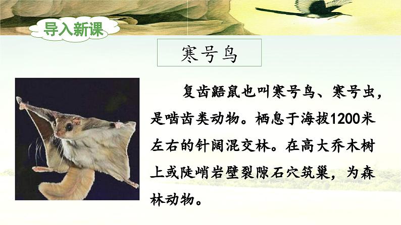 《寒号鸟》教学课件（第一课时）第4页