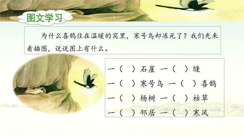 《寒号鸟》教学课件（第一课时）第8页