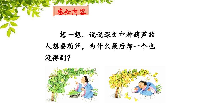 《我要的是葫芦》名师课件（第二课时）第4页