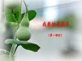 《我要的是葫芦》名师课件（第一课时）