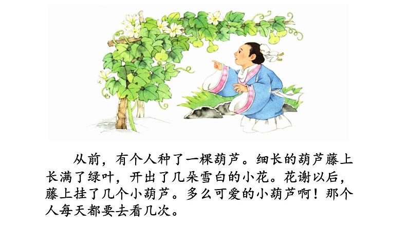 【部优】《我要的是葫芦》公开课课件（第二课时）第3页