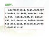 《风娃娃》教学课件（第二课时）