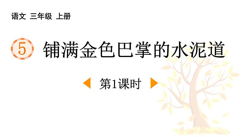 统编版（2024）三年级语文上册5铺满金色巴掌的水泥道第1课时课件1第1页