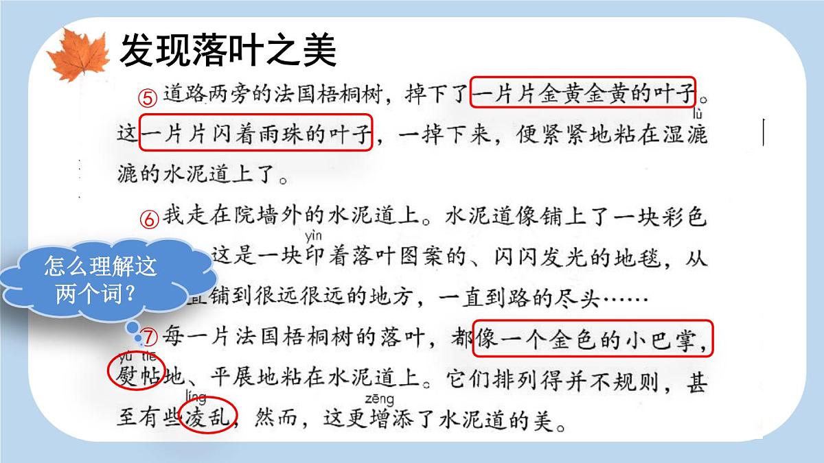 统编版（2024）三年级语文上册5铺满金色巴掌的水泥道第2课时课件2第2页