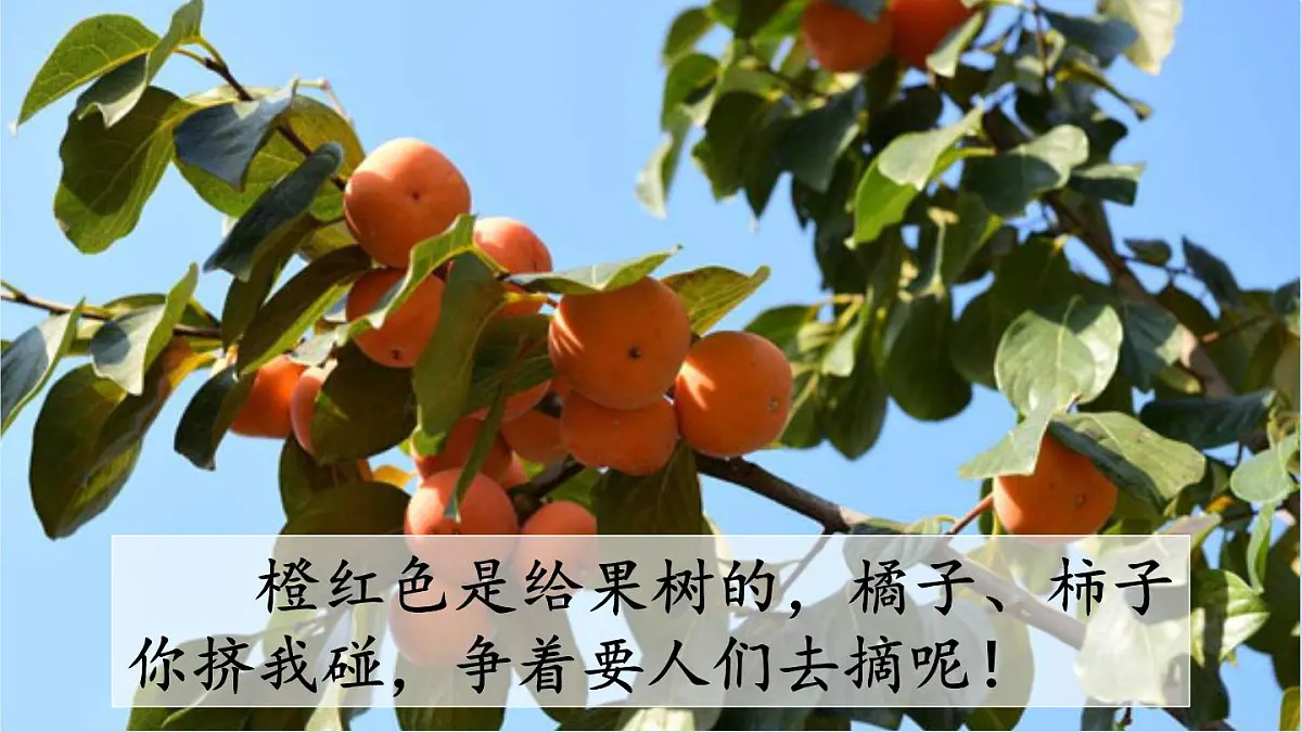 统编版（2024）三年级语文上册6秋天的雨第2课时课件2第7页