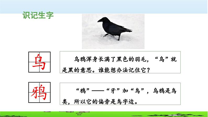 《乌鸦喝水》教学课件（第一课时）第5页