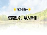第20课 《美丽的小兴安岭》 -2024-2025学年三年级语文上册同步精品课件（统编版）