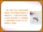 统编版（2024）三年级语文上册11一块奶酪课件6