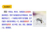 统编版（2024）三年级语文上册11一块奶酪课件7