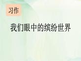 统编版（2024）三年级语文上册习作：我们眼中的缤纷世界课件1