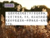 统编版（2024）三年级语文上册习作：我们眼中的缤纷世界课件4