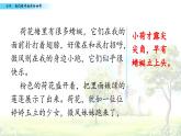 统编版（2024）三年级语文上册习作：我们眼中的缤纷世界课件4