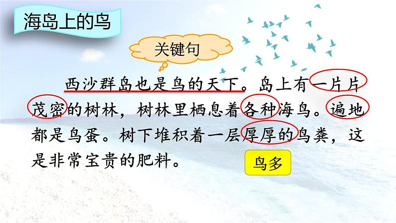 统编版（2024）三年级语文上册18富饶的西沙群岛第2课时课件1第8页