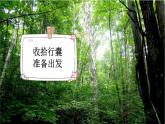 统编版（2024）三年级语文上册20美丽的小兴安岭第1课时课件2