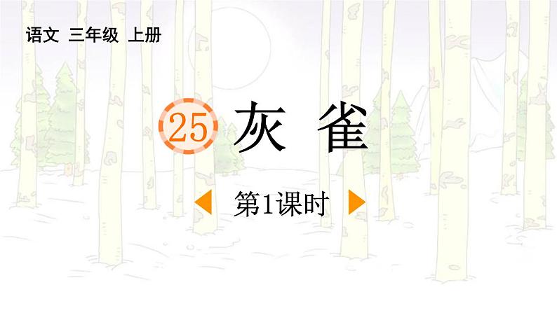 统编版（2024）三年级语文上册25灰雀第1课时课件1第1页