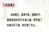 统编版（2024）三年级语文上册25灰雀第1课时课件1