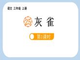 统编版（2024）三年级语文上册25灰雀第1课时课件2
