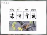 统编版（2024）三年级语文上册25灰雀课件1