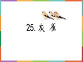 统编版（2024）三年级语文上册25灰雀课件2